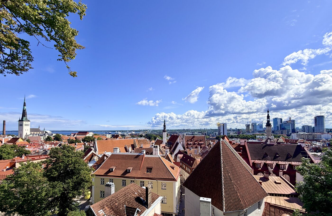 The rooftops of Tallinn old town under a blue sky, with the modern city on the horizon
